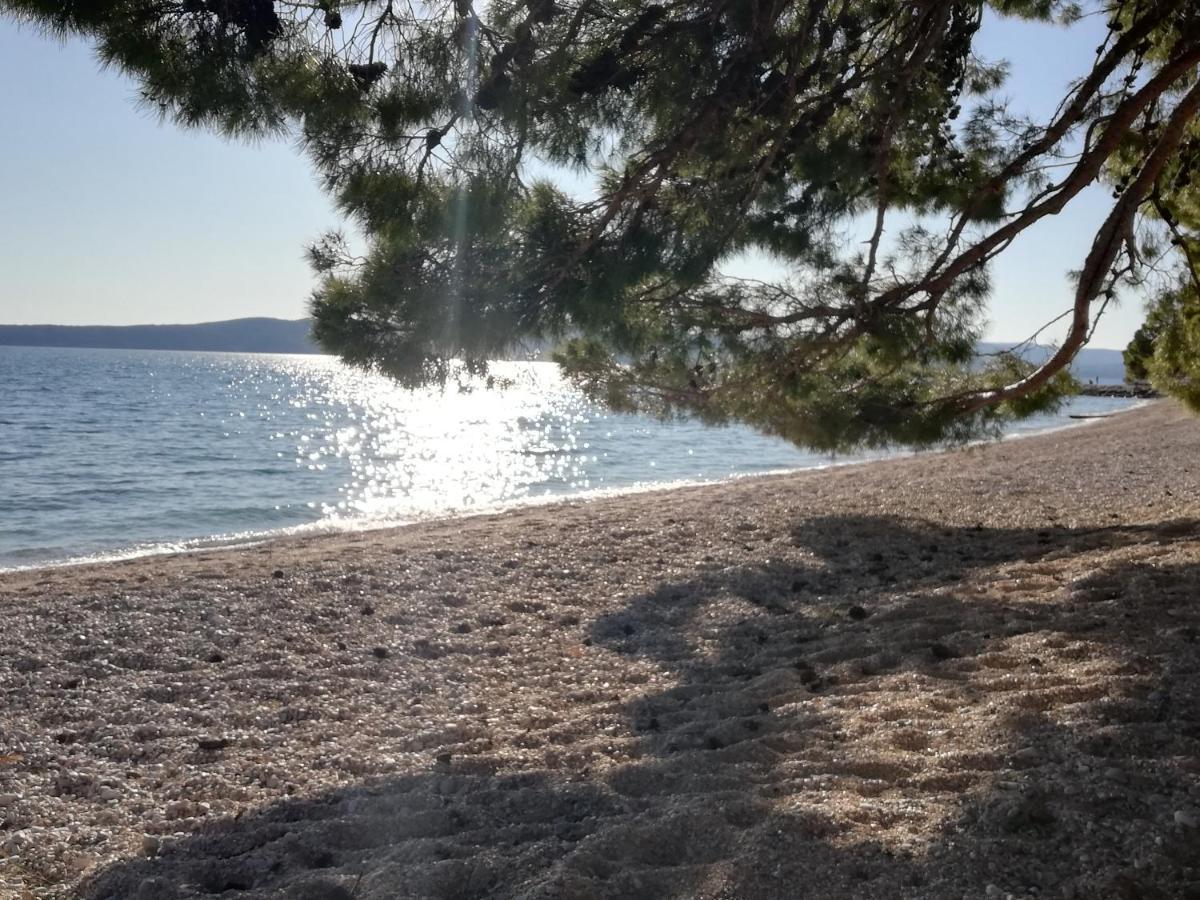 Sea Paradise
